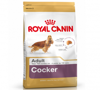 Royal Canin Cocker Spaniel Adult 3 kg Köpek Maması kullananlar yorumlar